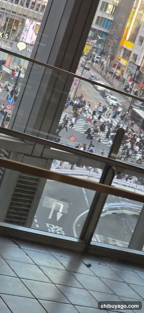Crowded Street View from High Floor