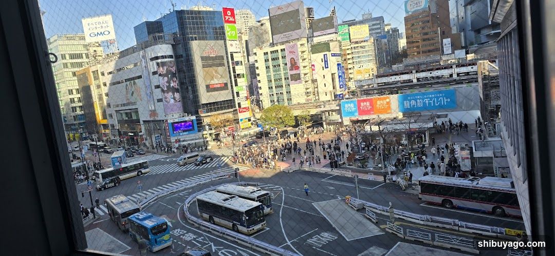 Shinjuku Crossing View from Window