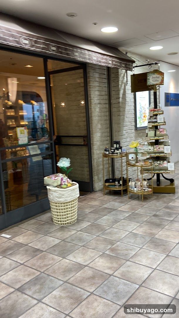 Store Entrance Display