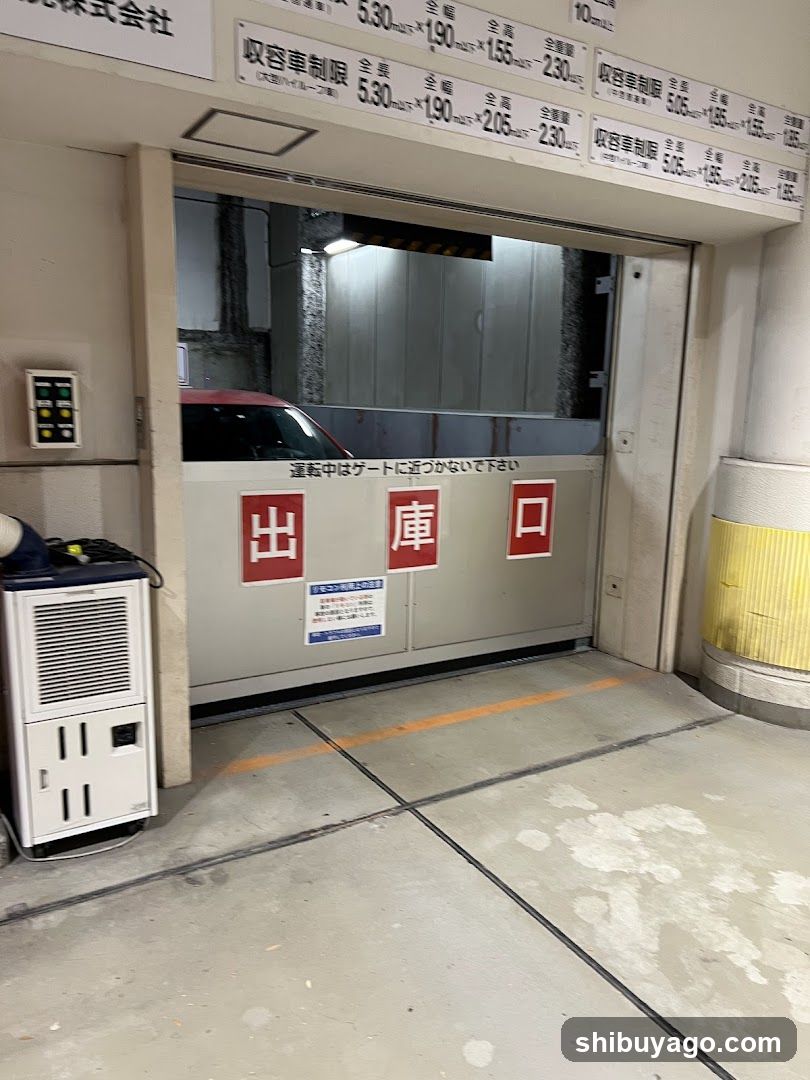 特P Car Parking cocoti
