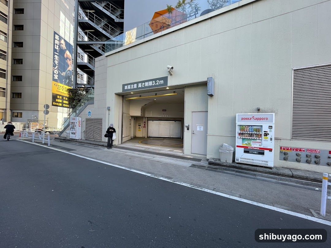 特P Car Parking cocoti