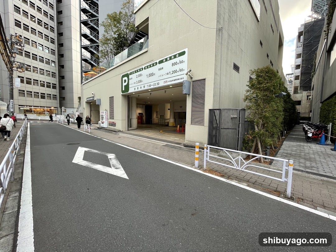 特P Car Parking cocoti