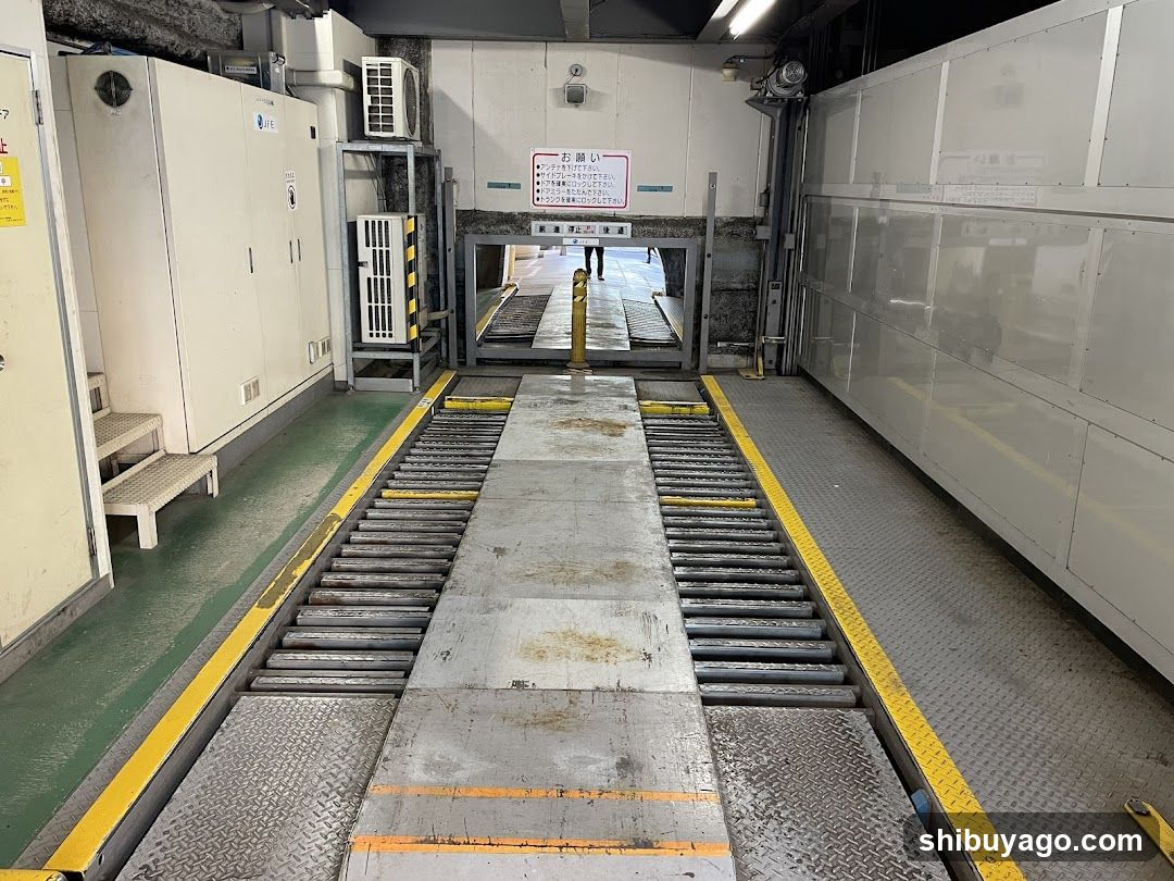 特P Car Parking cocoti