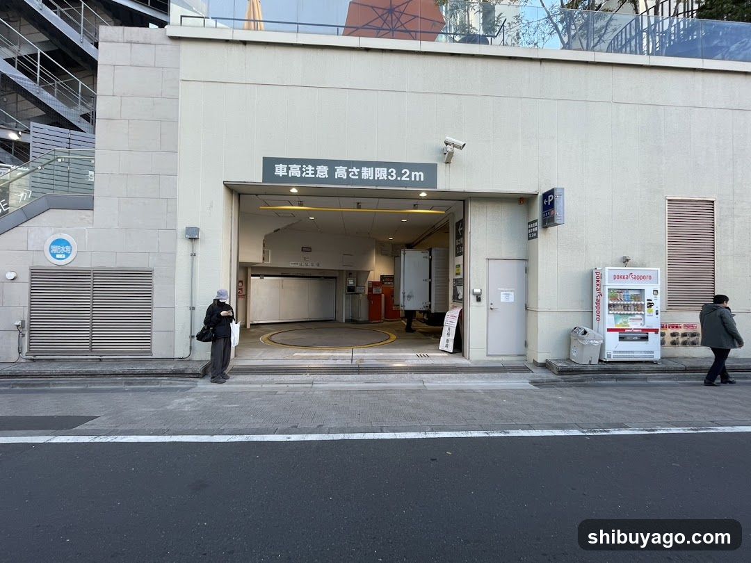 特P Car Parking cocoti