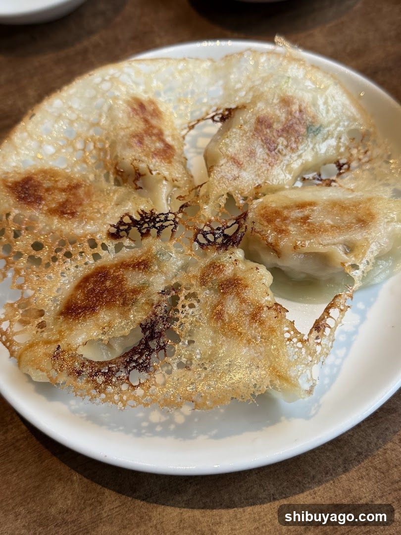 Pan-fried Dumplings with Crispy Edges