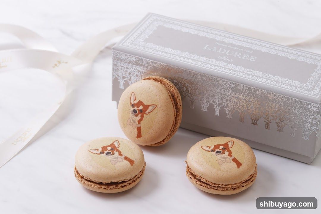Laduree Macarons with Fox Design