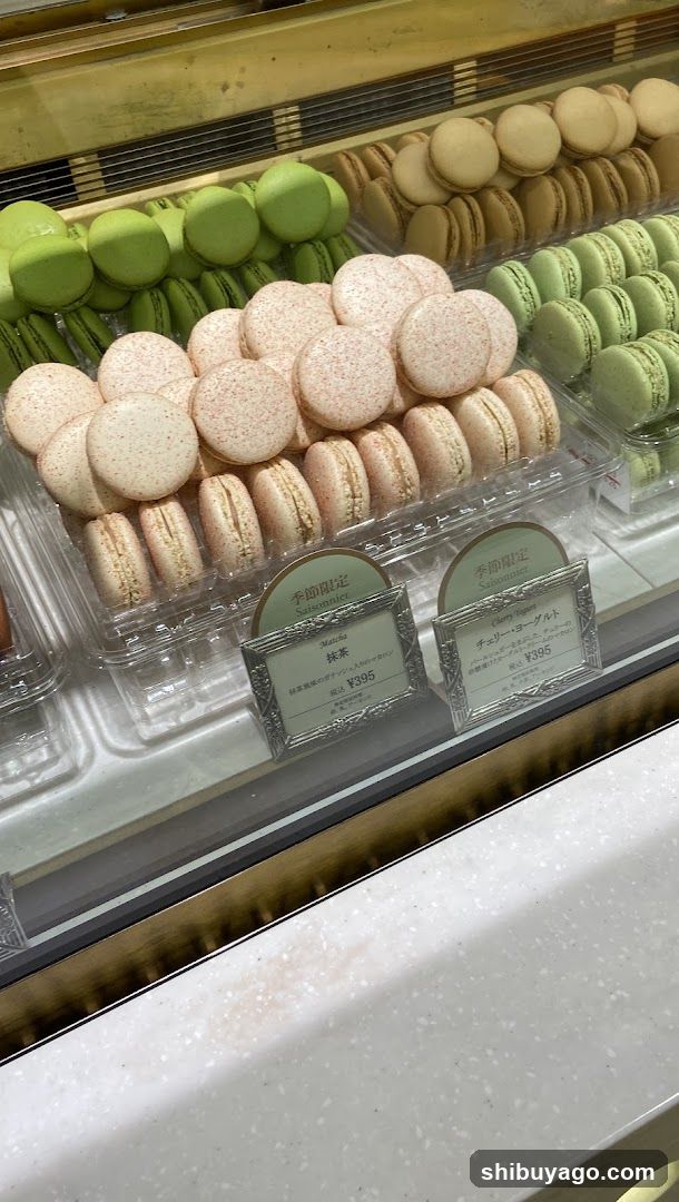 Macaron Display Case