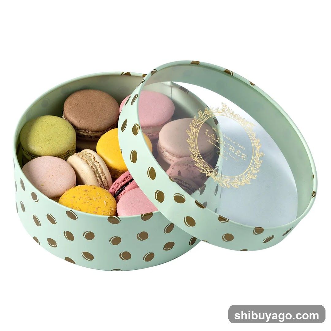 Macaron Gift Box