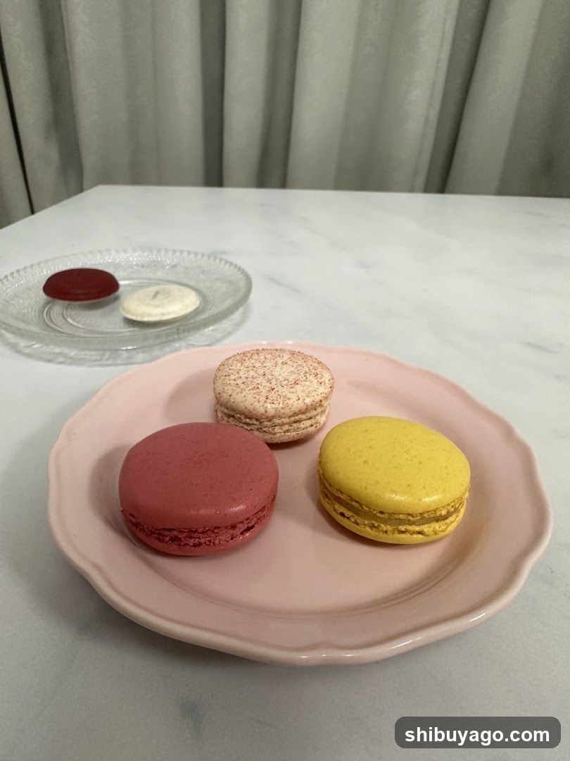 Macarons on Pink Plate