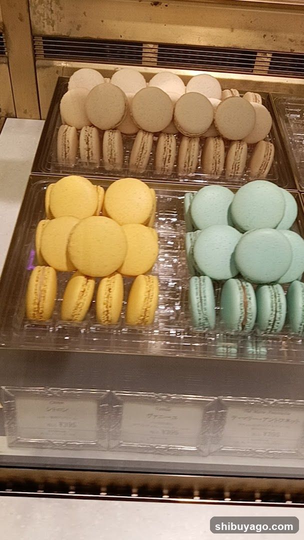 Macaron Display Case