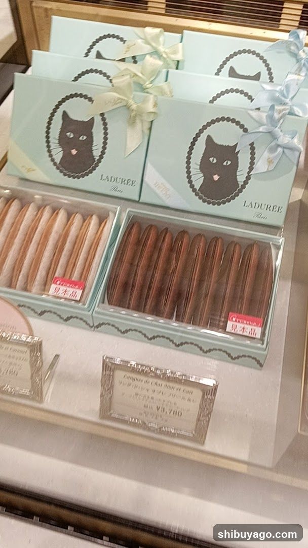 Ladurée Cat Macaron Display