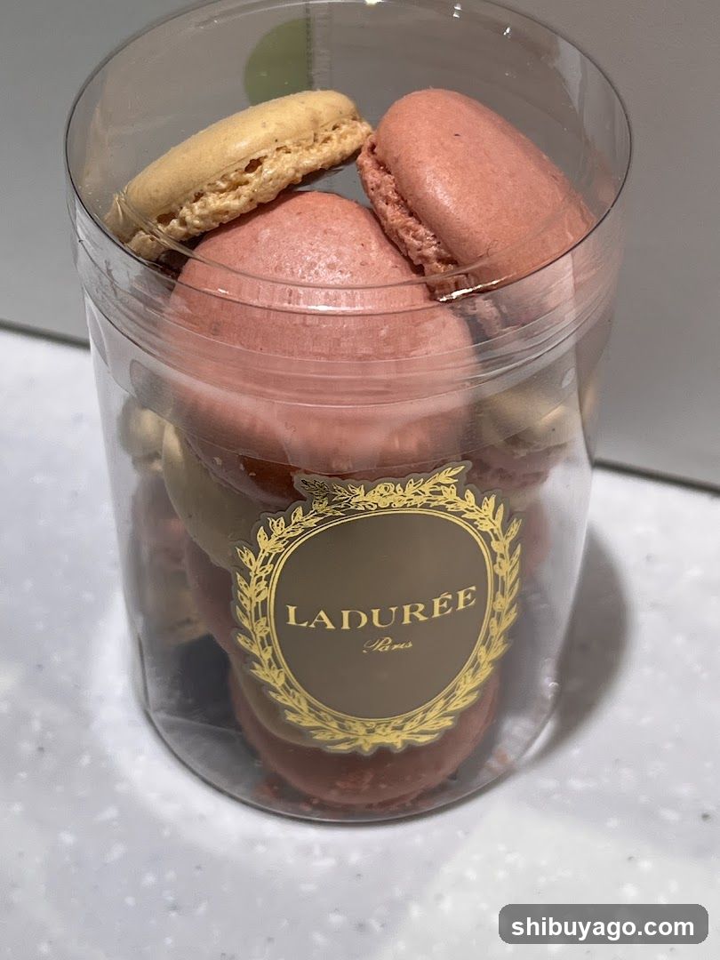 Laduree Macarons in Clear Container