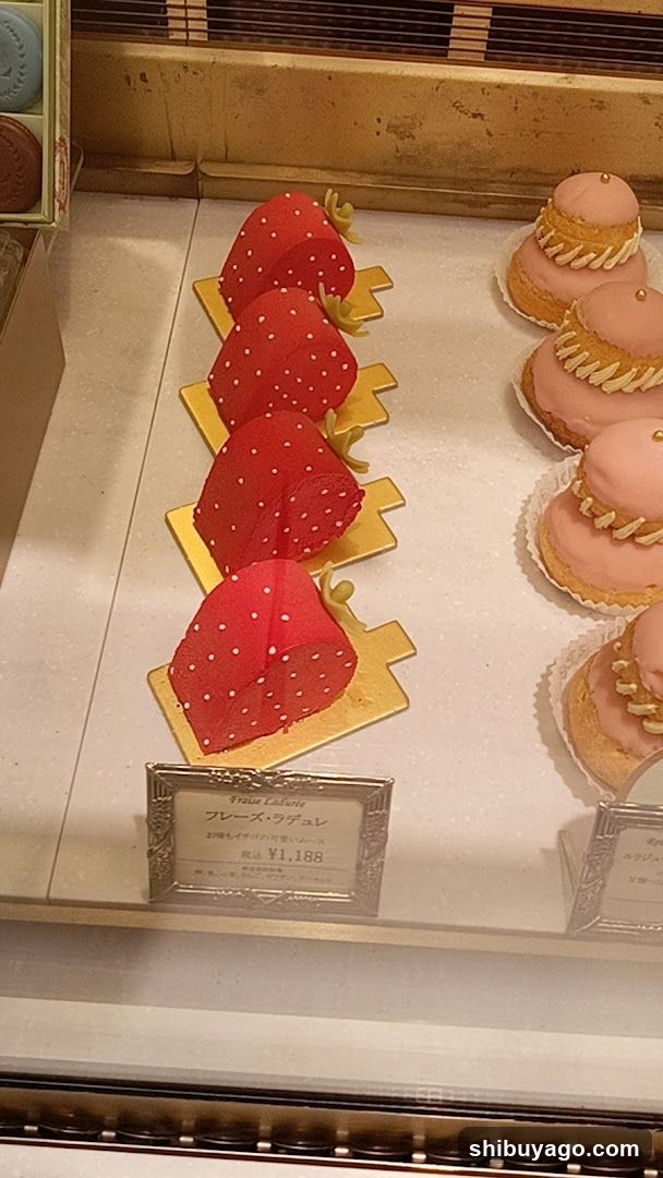 Pastry Display Case