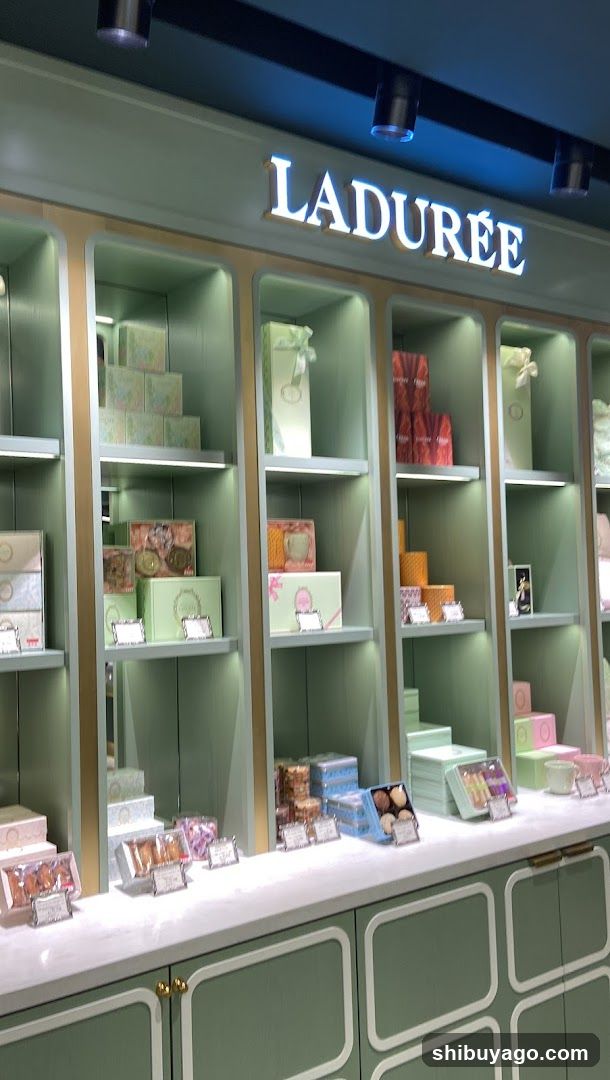Ladurée Display