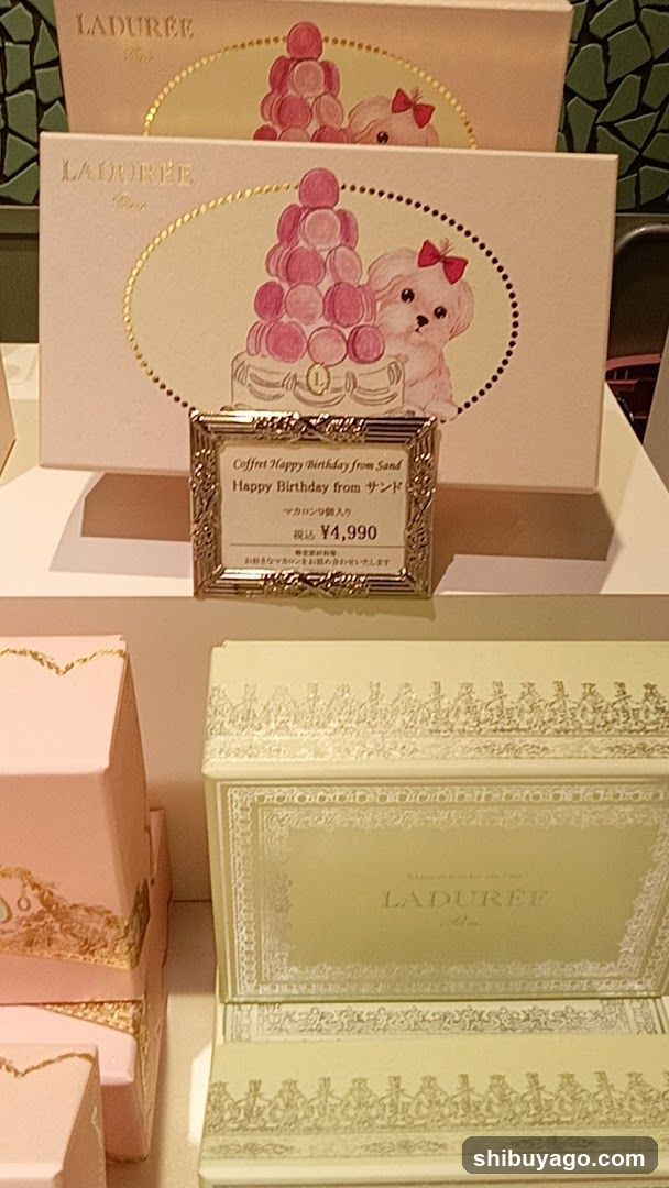 Laduree Birthday Macaron Display