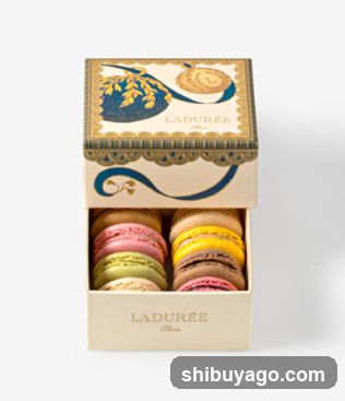 Laduree Macaron Box
