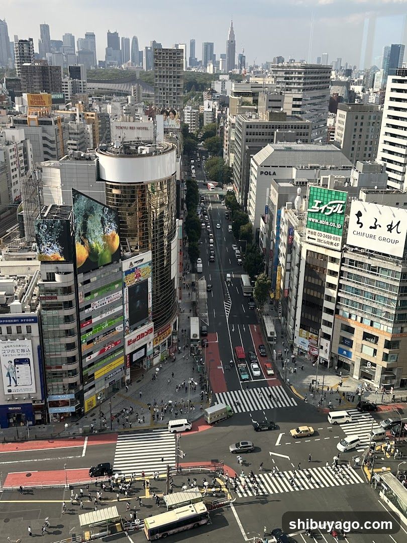 Urban Street View with Buildings and Traffic