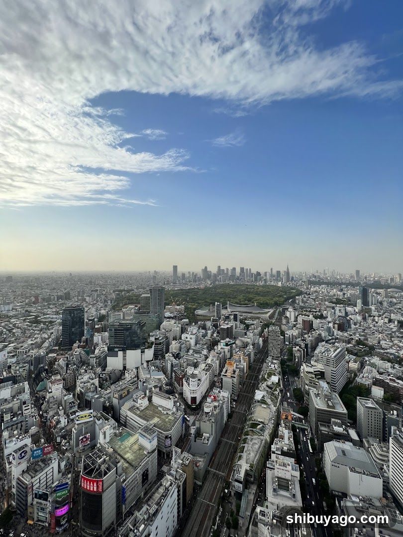Tokyo Cityscape View from High Building
