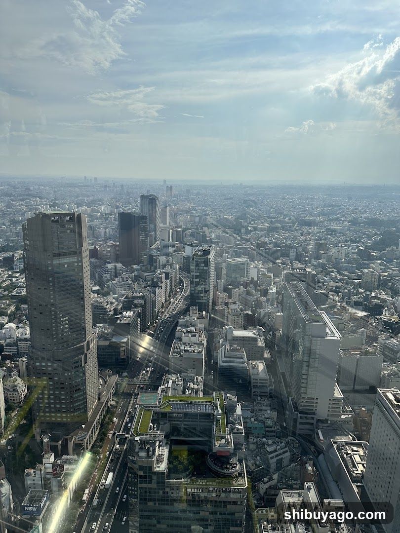Tokyo Cityscape from High vantage point