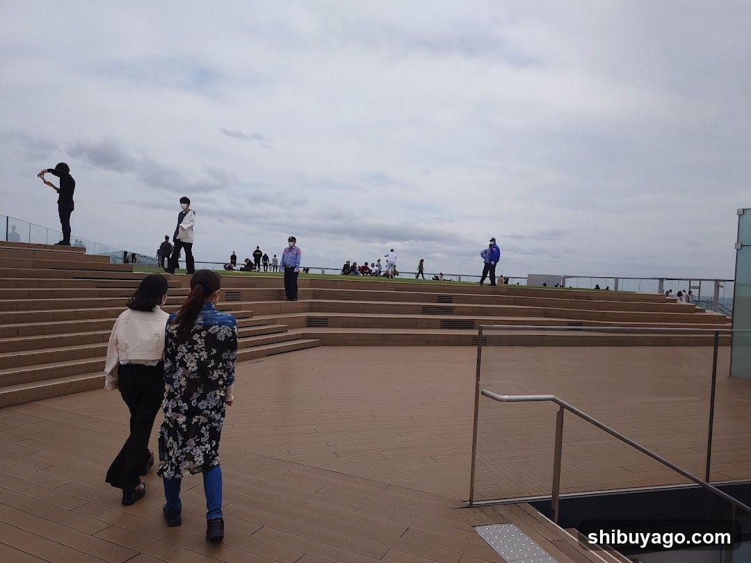 Outdoor Terrace View