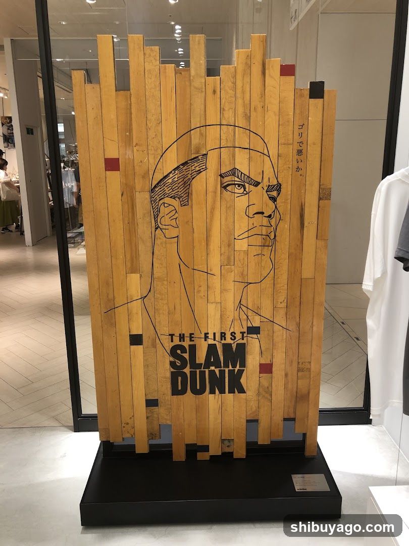 Slam Dunk Art Display