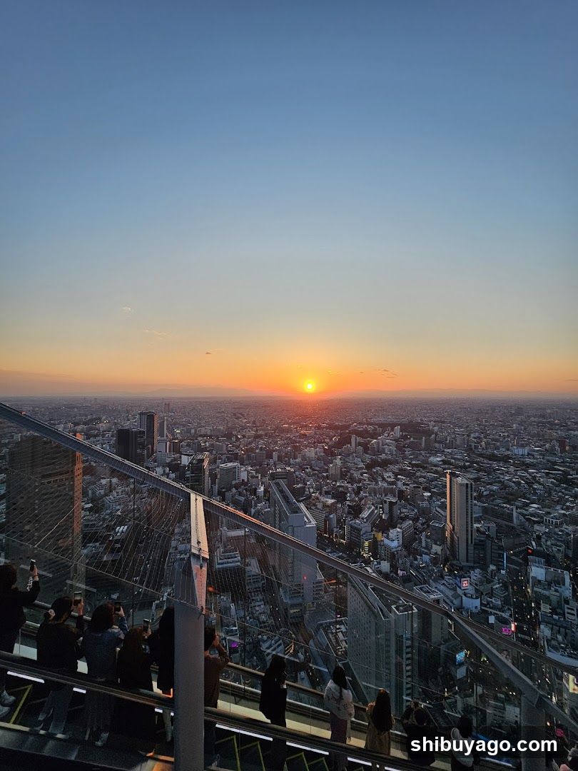 Sunset over Tokyo from a high vantage point
