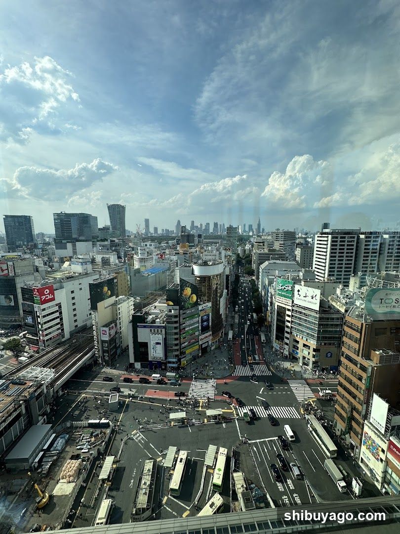 Urban Skyline View