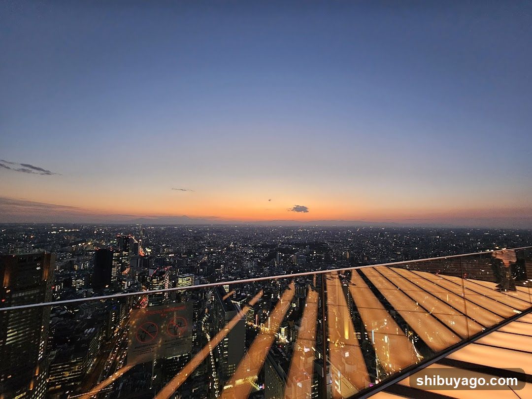 Dusk Cityscape View from Rooftop Bar