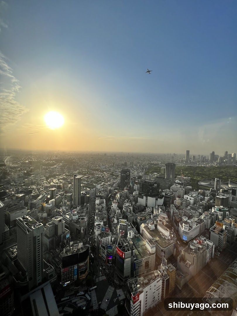 Cityscape at sunset