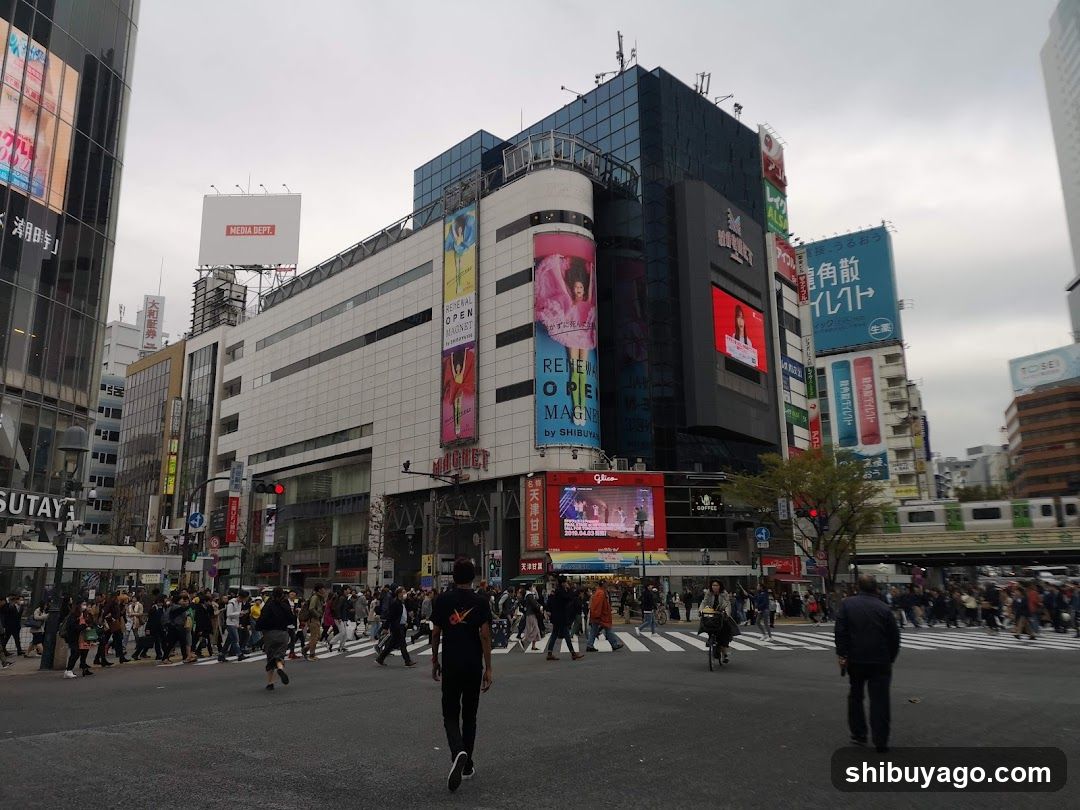 Shibuya Crossing Japan