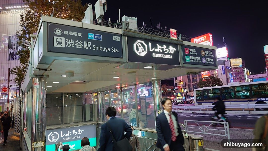 Shibuya Station Night Scene