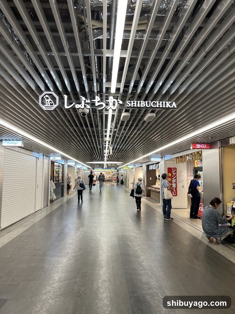 Shibuchika Interior Corridor