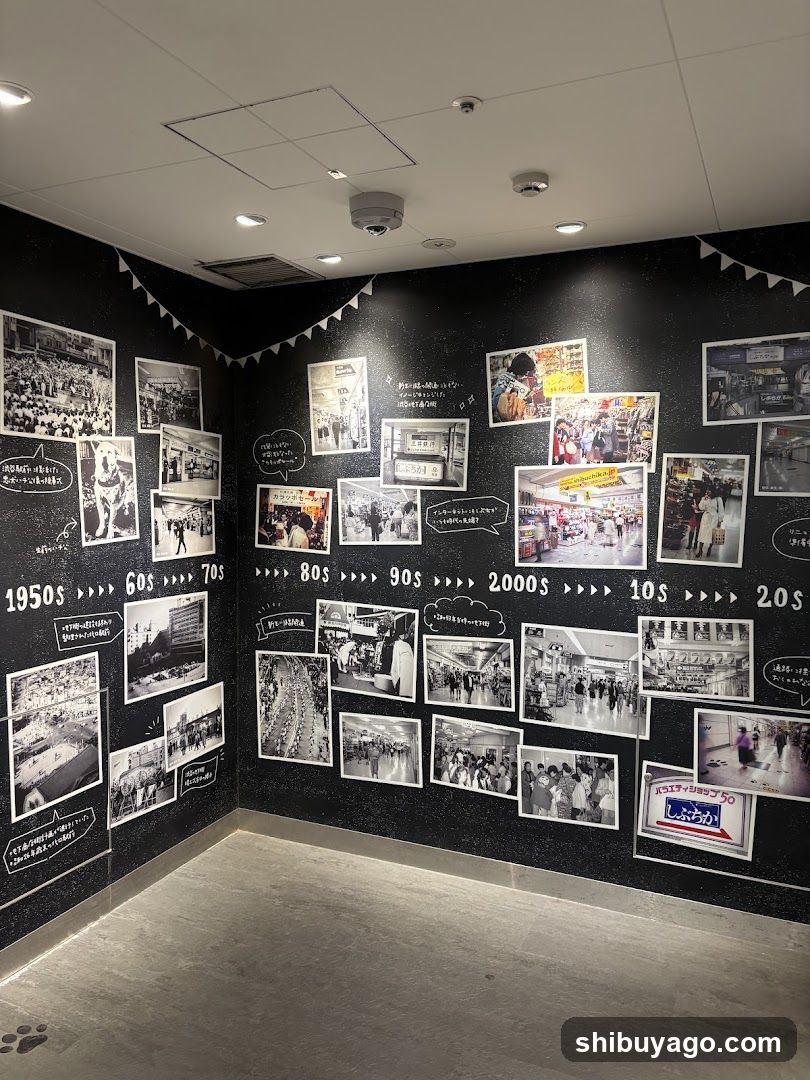 Historical Timeline Wall Display