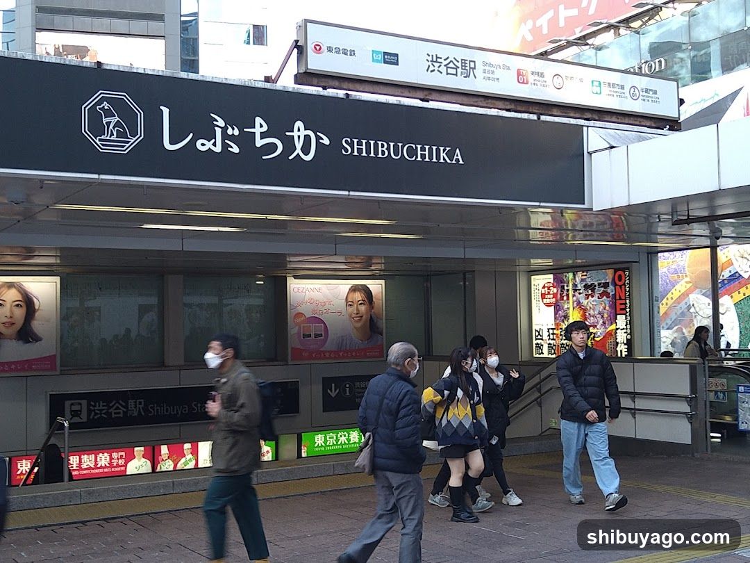 Shibuchika Station Entrance