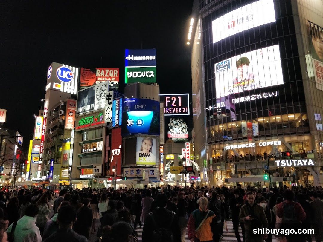 Shibuya Crossing Night Scene