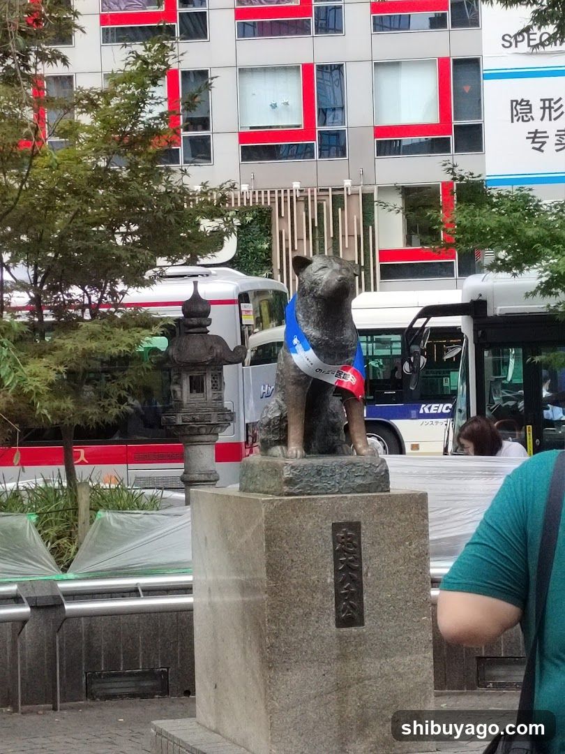 Hachiko Statue in Tokyo