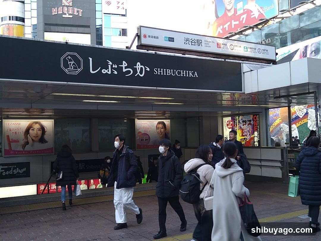 Shibuya Station Entrance Area
