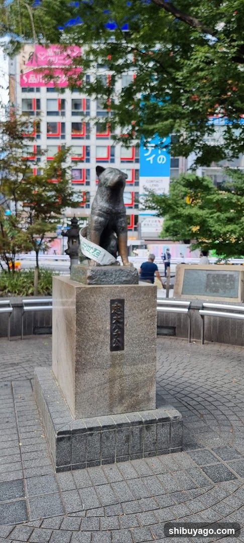 Husky Statue in Urban Square