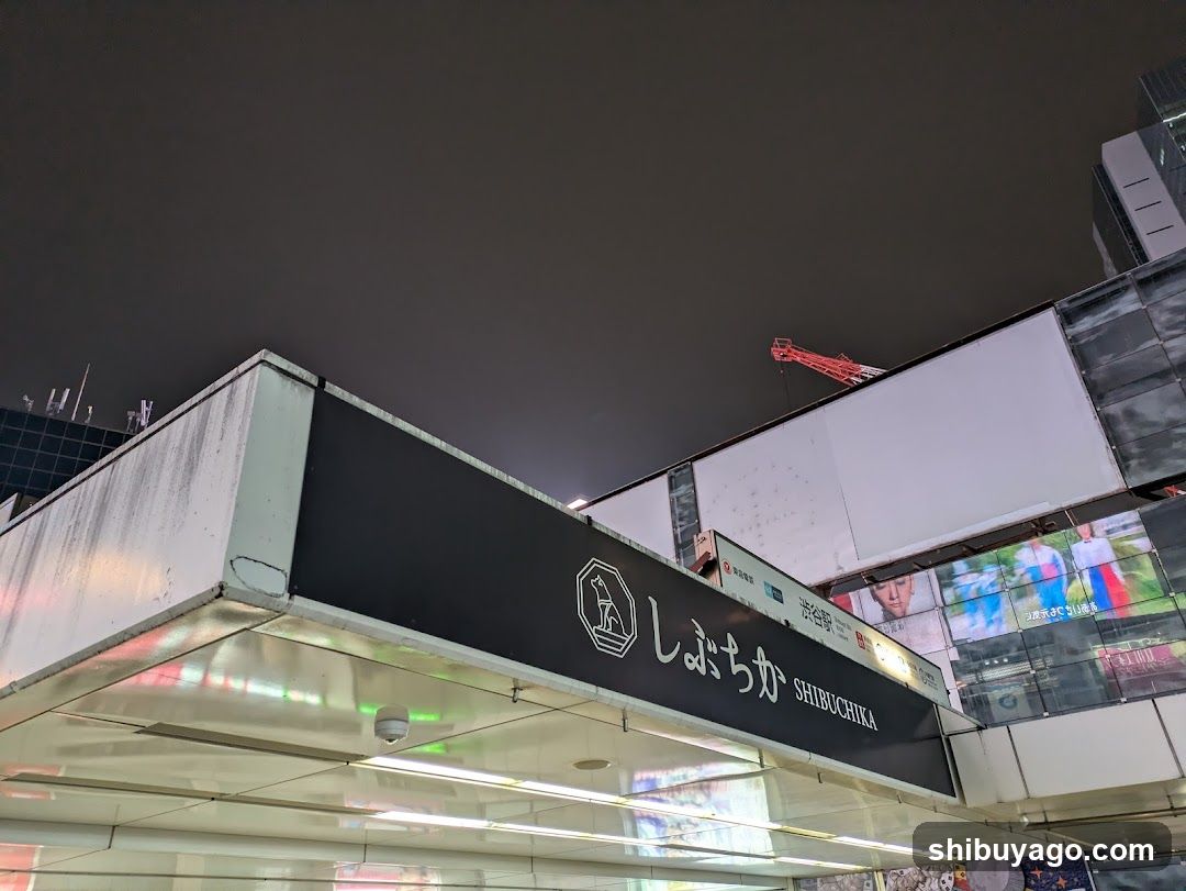 Shibukika Station Entrance at Night