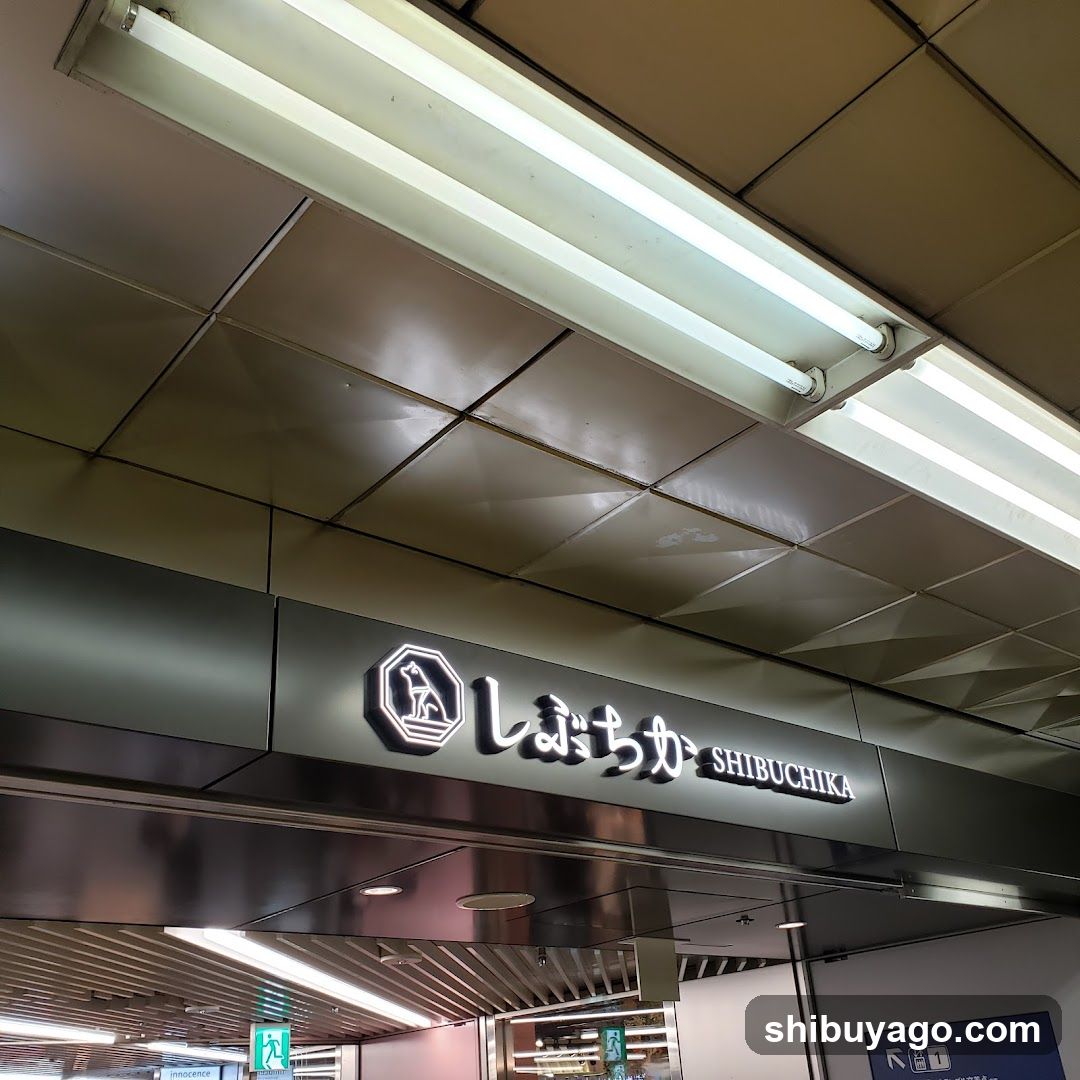 Shibuya Station Signage