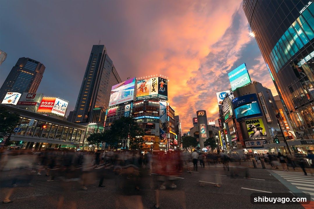 Shibuya Crossing at Sunset