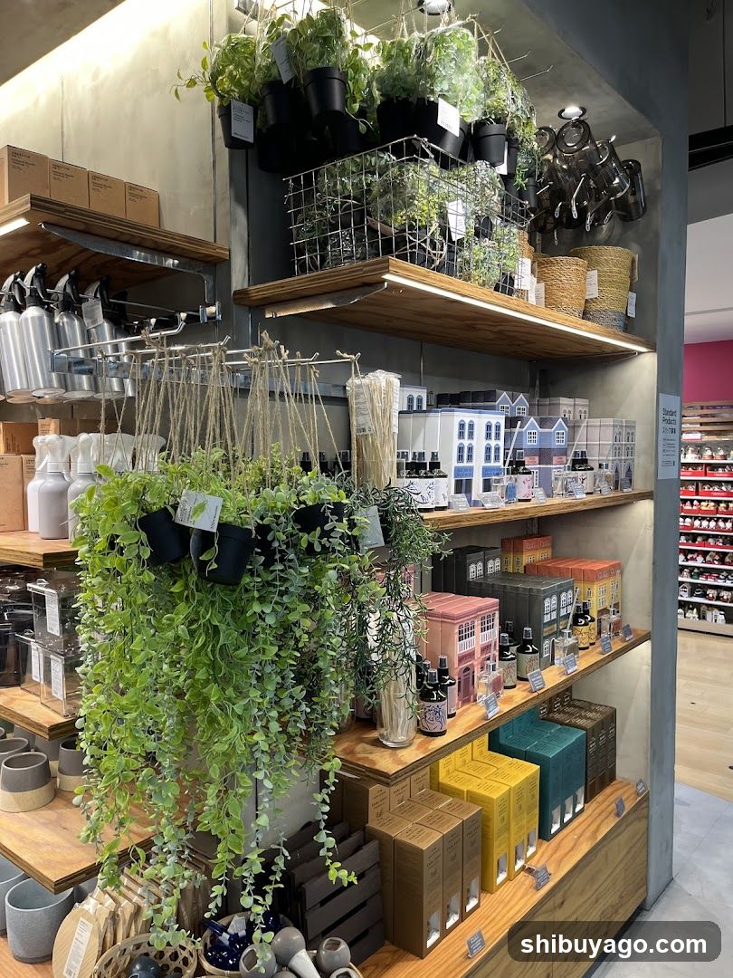 Indoor Plant and Home Goods Display