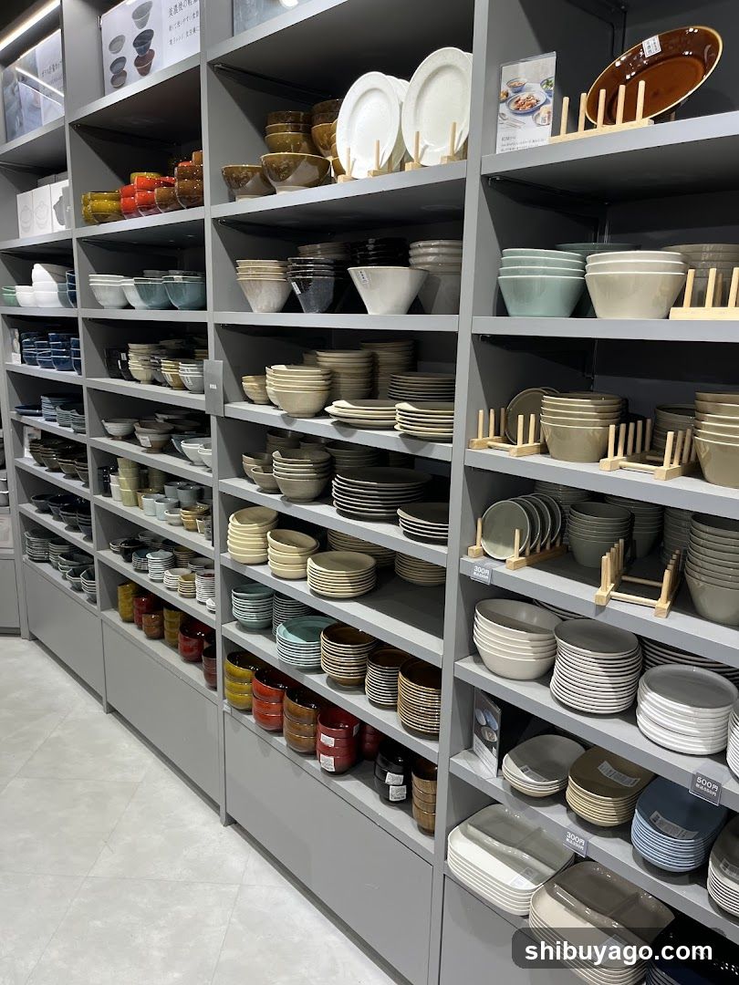 Dishware Display Shelf