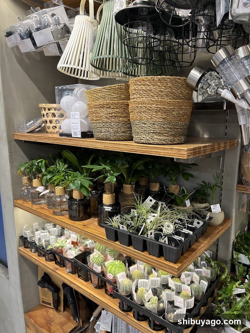 Home Goods Store Interior