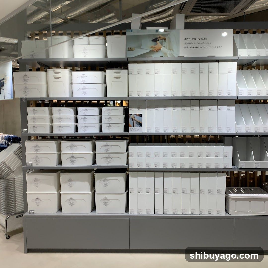 Storage Container Display