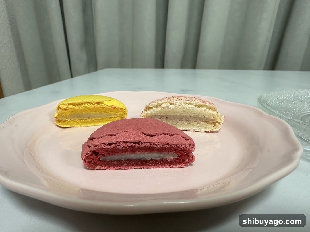Macarons on a Plate