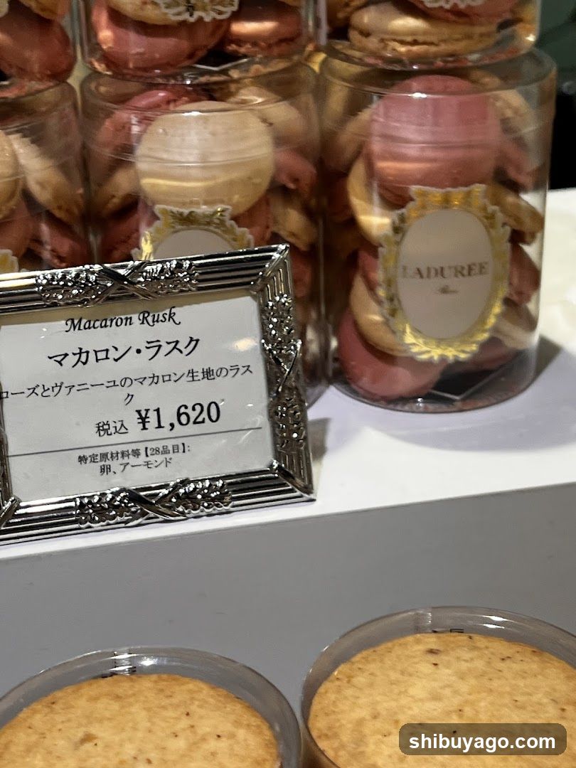 Macaron Rusk Display