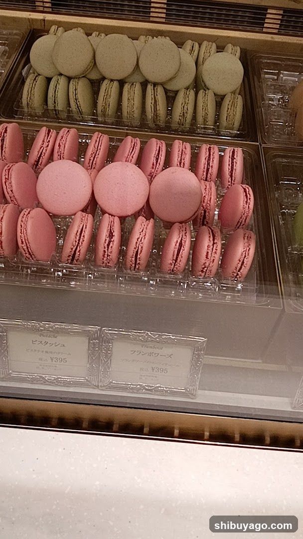 Macaron Display Case