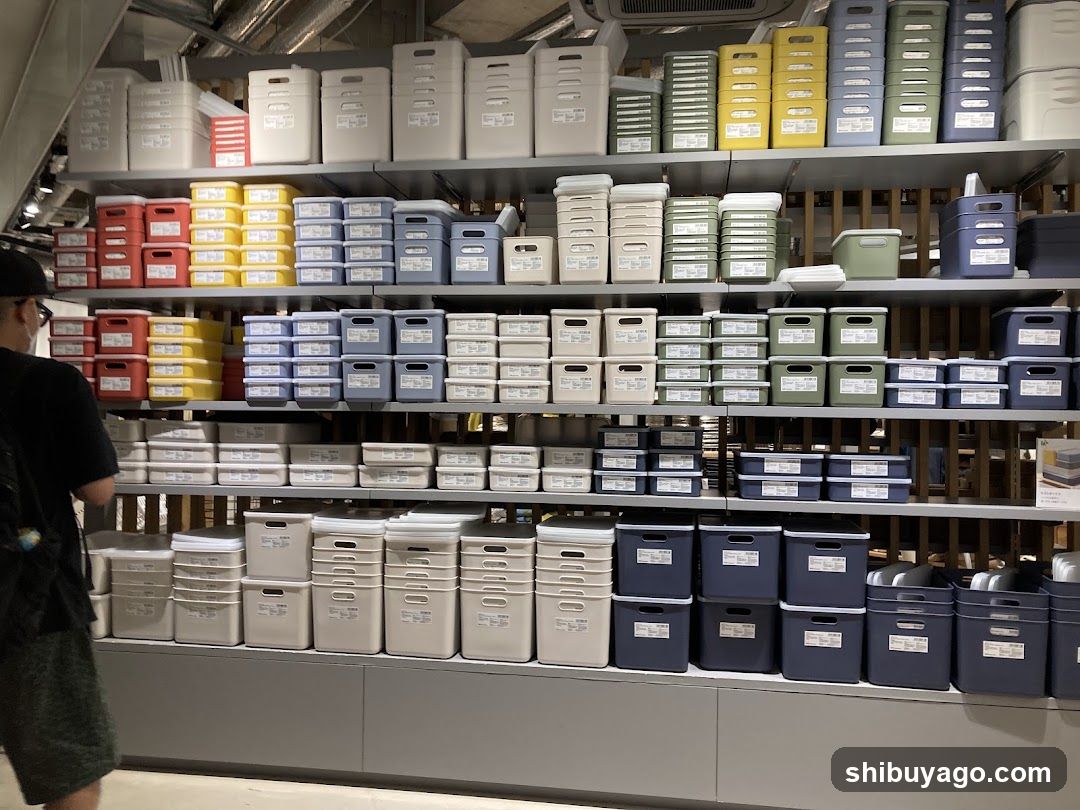 Storage Container Display