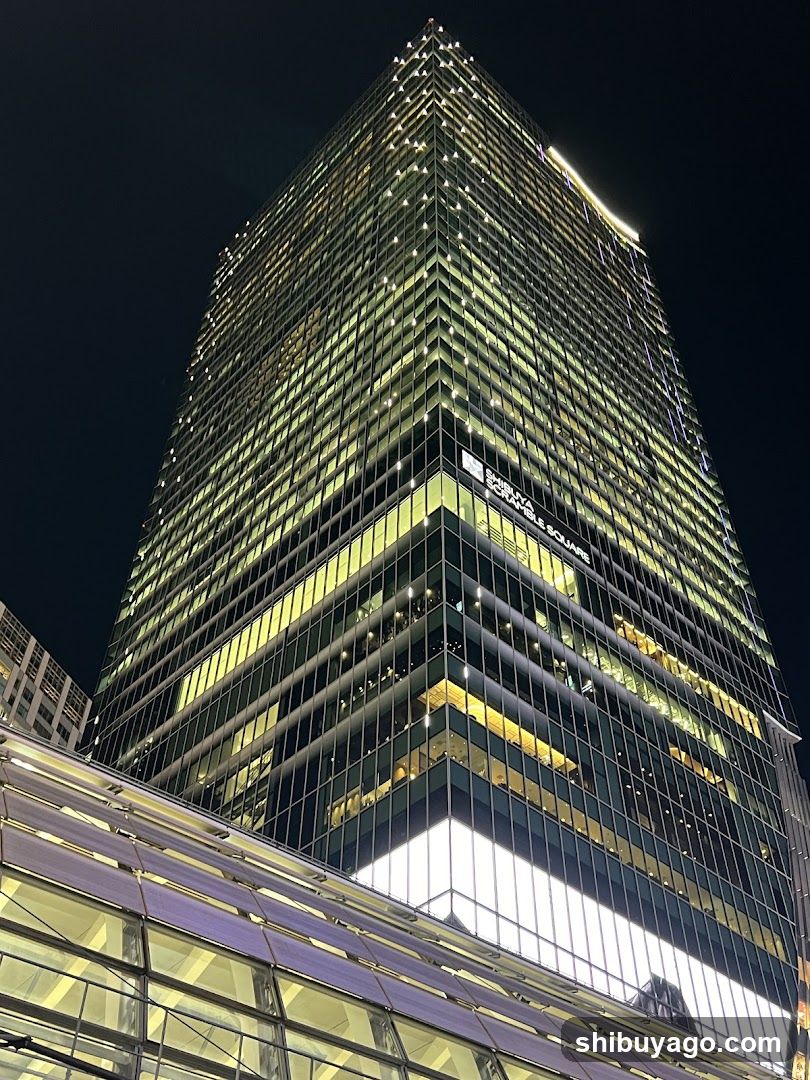 SHIBUYA CROSSING S VIEW